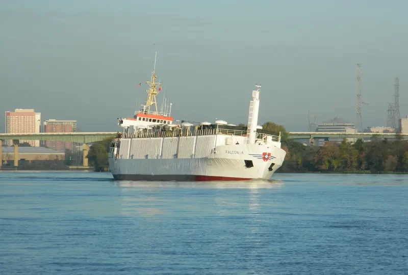 DRAGON General Cargo IMO 7303231 photo 10