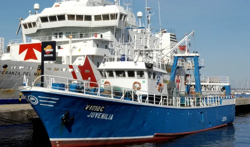JUVENILIA General Cargo IMO 7303578
