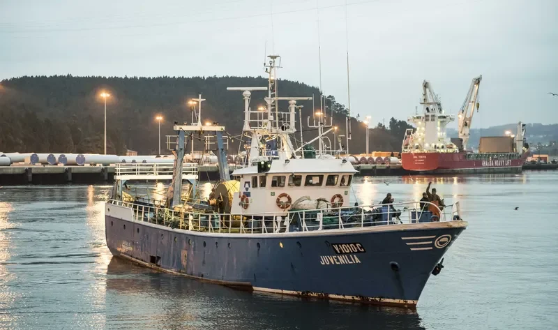 JUVENILIA General Cargo IMO 7303578 photo 2