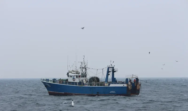 JUVENILIA General Cargo IMO 7303578 photo 3