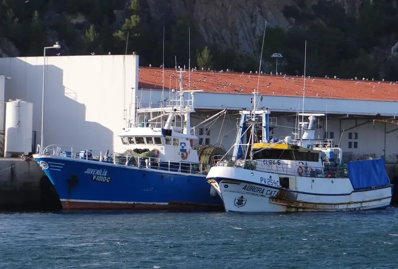 JUVENILIA General Cargo IMO 7303578 photo 6