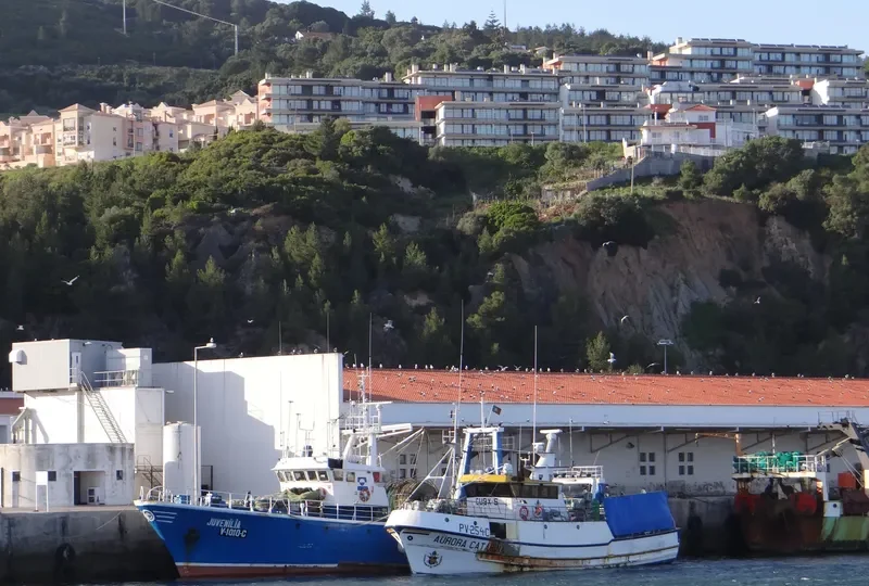 JUVENILIA General Cargo IMO 7303578 photo 7