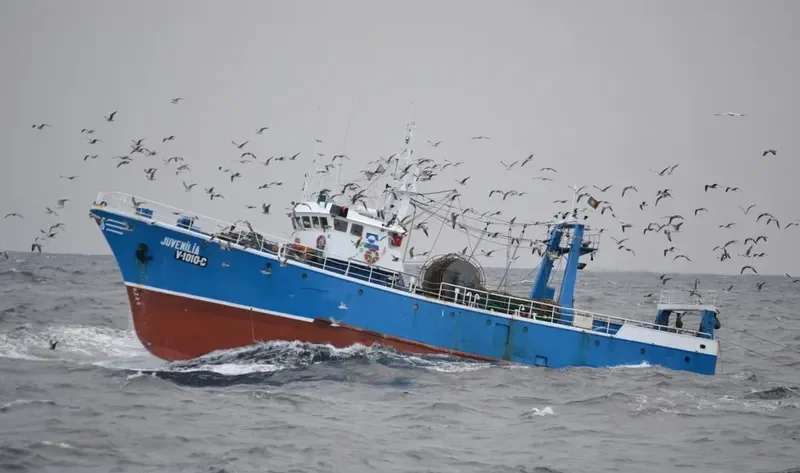 JUVENILIA General Cargo IMO 7303578 photo 8