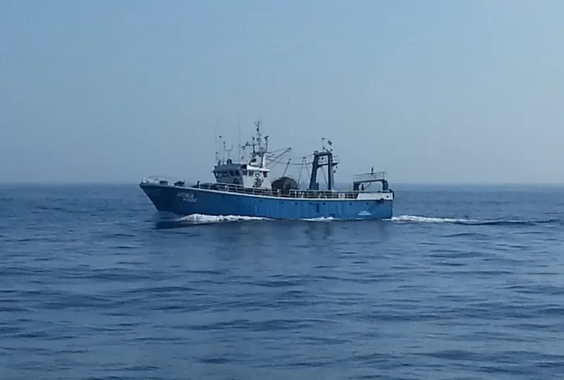 JUVENILIA General Cargo IMO 7303578 photo 9