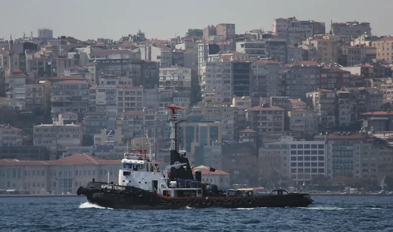 KAPTAN TEOMAN General Cargo IMO 7303815 photo 8