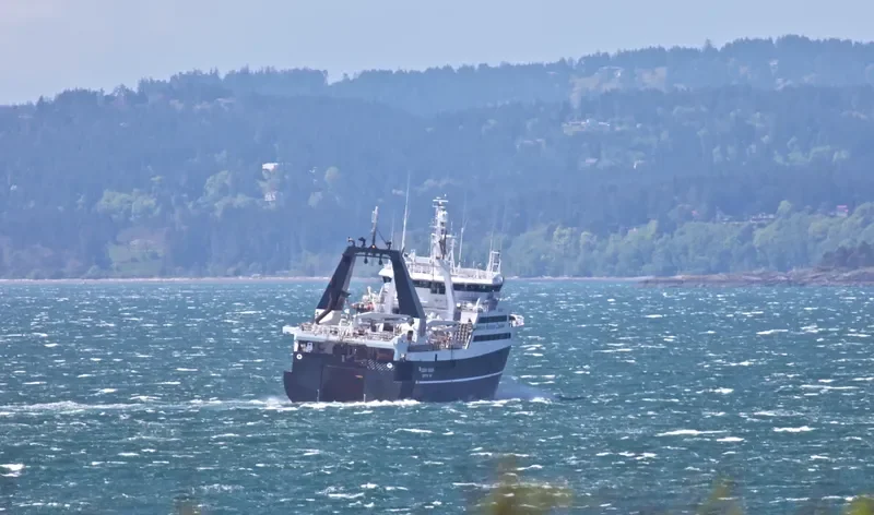 OCEAN ROVER General Cargo IMO 7303968 photo 8