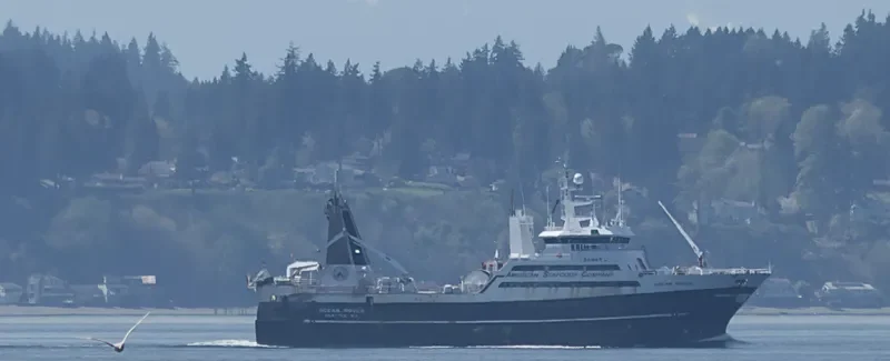 OCEAN ROVER General Cargo IMO 7303968 photo 10
