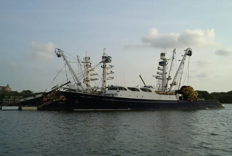 MARIA ISABEL C General Cargo IMO 7303982