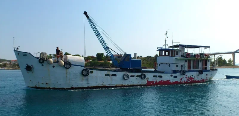 CARIC General Cargo IMO 7304479