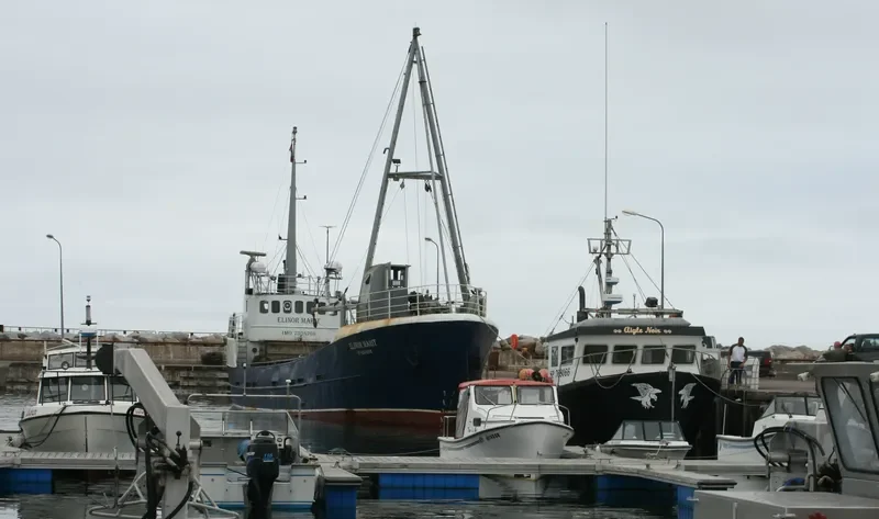 ELINOR MARIT General Cargo IMO 7304766 photo 5