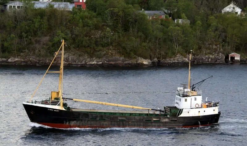 ELINOR MARIT General Cargo IMO 7304766 photo 10