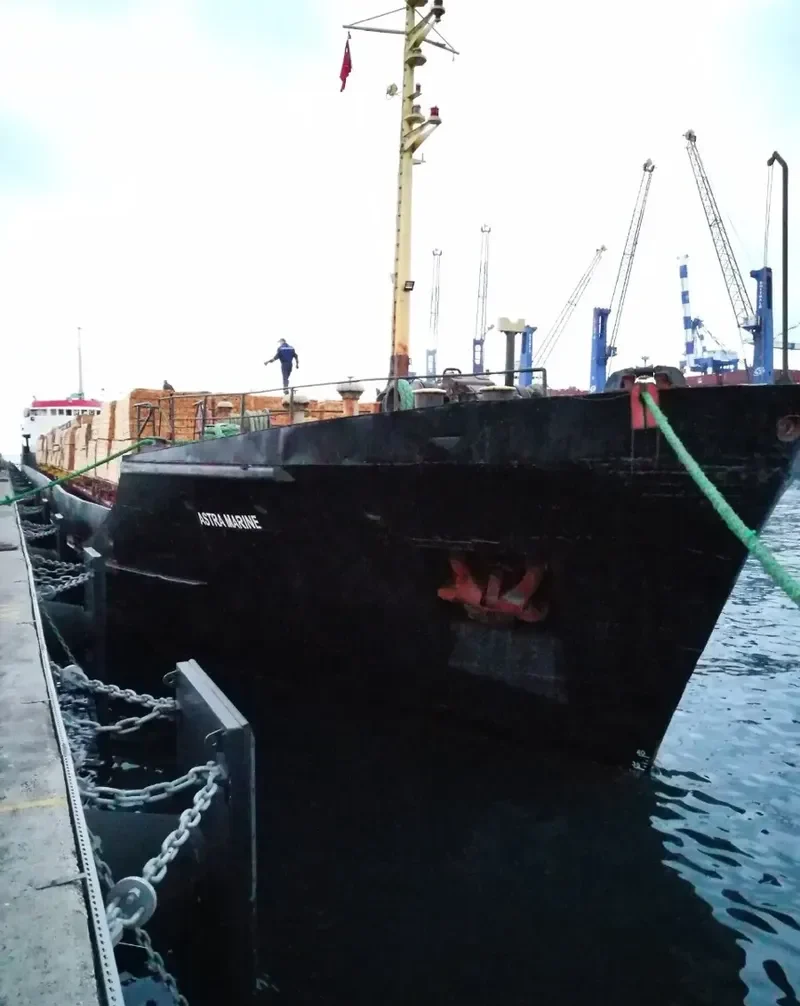 ASTRA MARINE General Cargo IMO 7305112