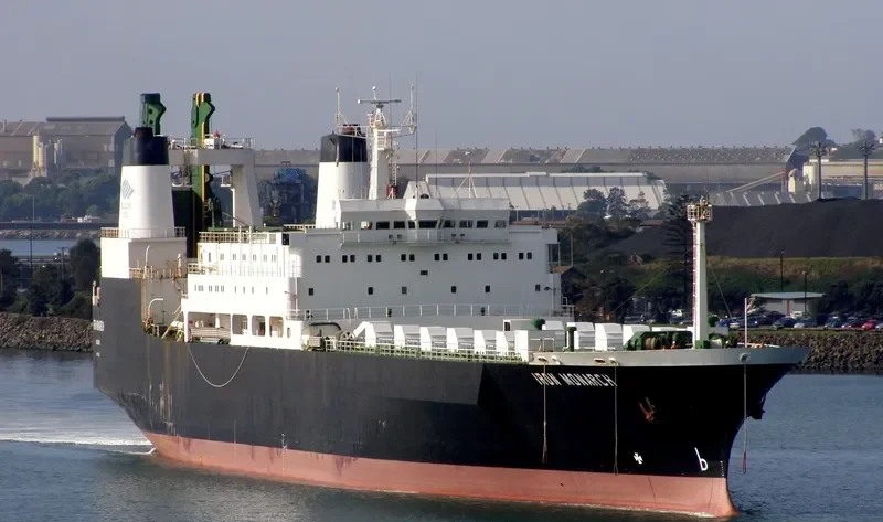 ULUSOY Ro-Ro IMO 7305502 photo 9