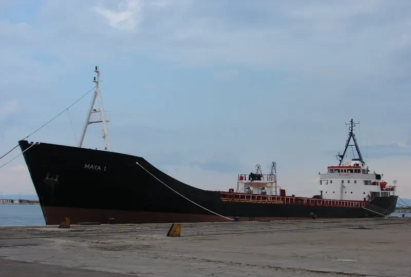 MAYA 1 General Cargo IMO 7305526 photo 2