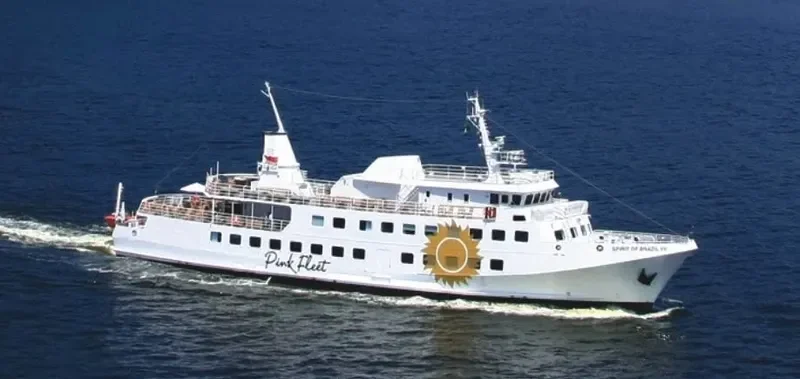 SPIRIT OF BRAZIL VII Passenger Ship IMO 7305629 photo 2