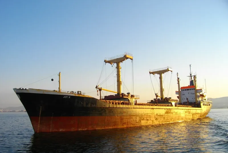 JOY K General Cargo IMO 7306702 photo 10