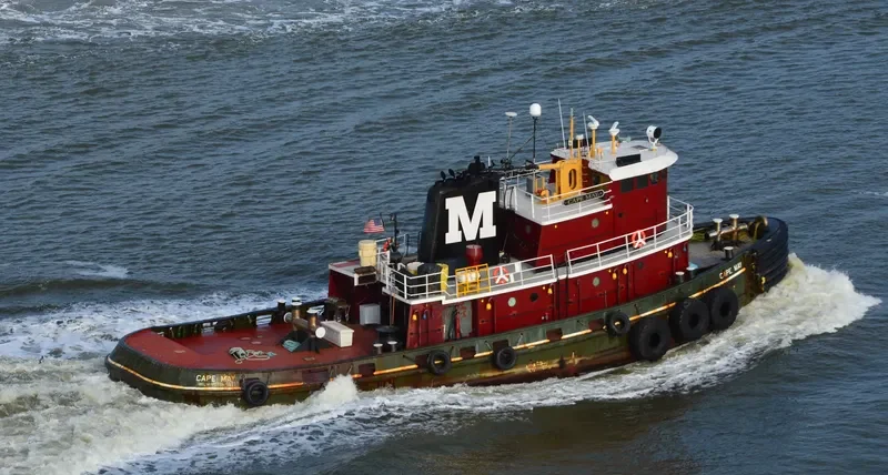 CAPE MAY General Cargo IMO 7306790 photo 2