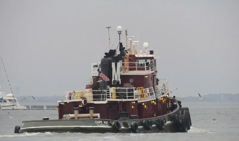 CAPE MAY General Cargo IMO 7306790 photo 5