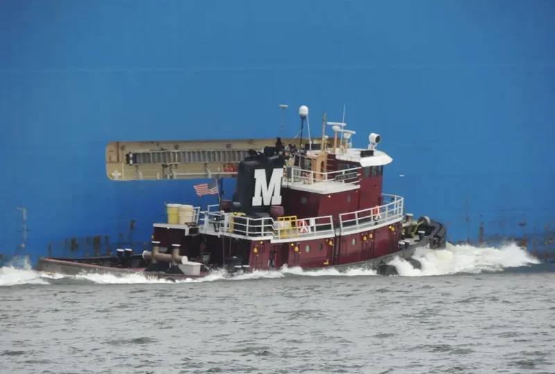 CAPE MAY General Cargo IMO 7306790 photo 8