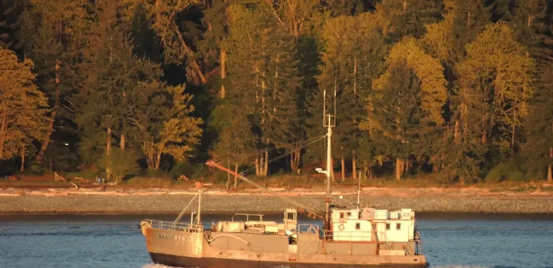 RANDI LYNN Fishing Vessel IMO 7307495 photo 2