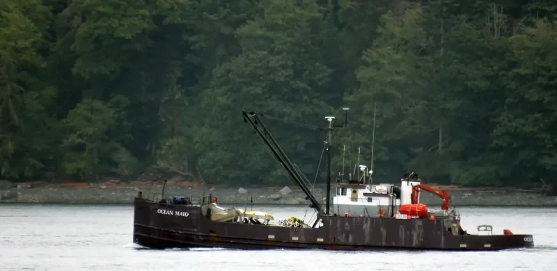 OCEAN MAID Fishing Vessel IMO 7307550