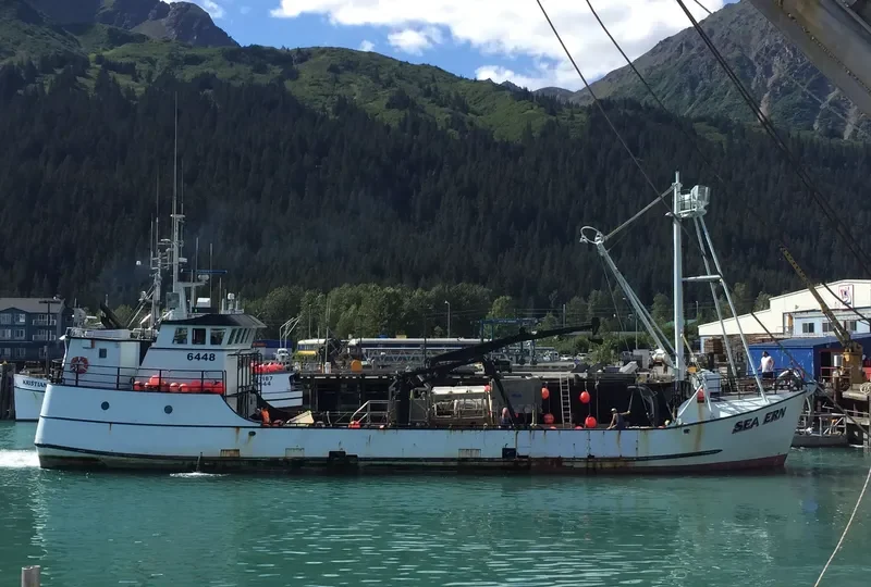 SEA ERN Fishing Vessel IMO 7308542