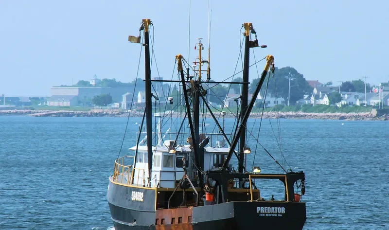 PREDATOR General Cargo IMO 7308750