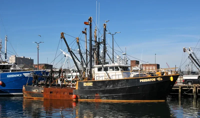 PREDATOR General Cargo IMO 7308750 photo 4