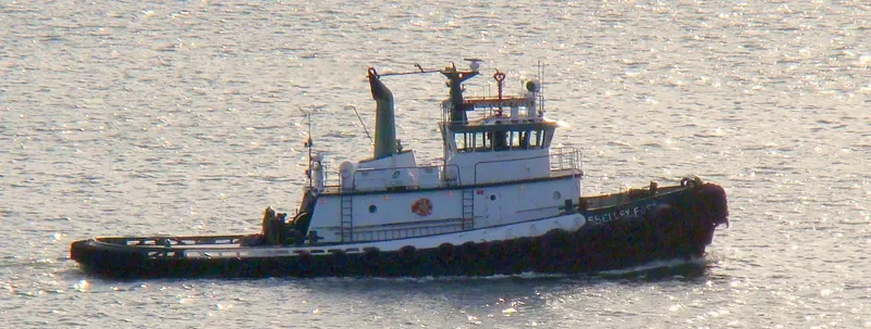 ISLAND BREEZE General Cargo IMO 7308762 photo 7