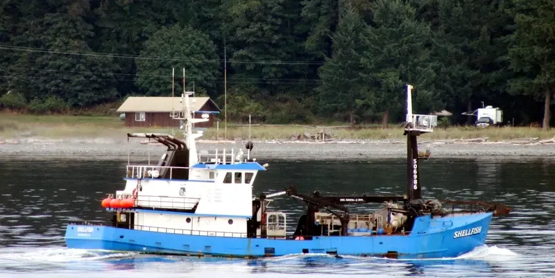 SHELLFISH General Cargo IMO 7308774