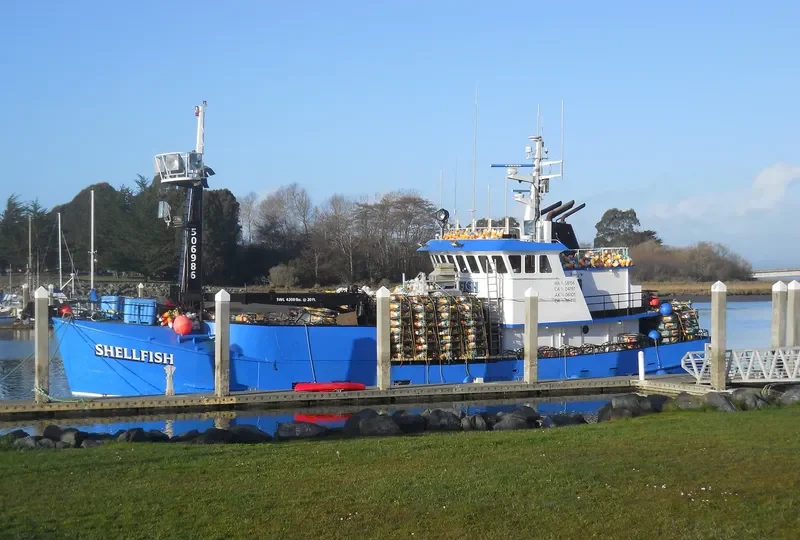 SHELLFISH General Cargo IMO 7308774 photo 4