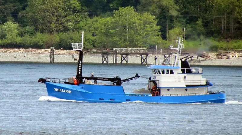 SHELLFISH General Cargo IMO 7308774 photo 5