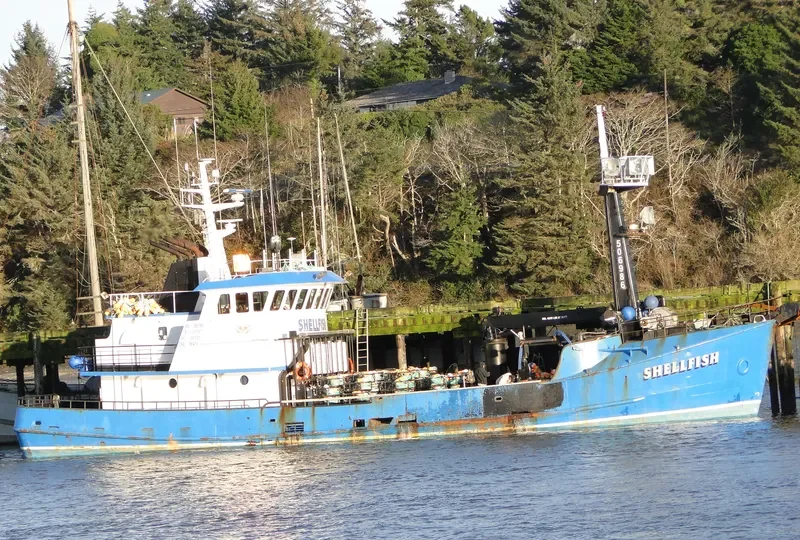 SHELLFISH General Cargo IMO 7308774 photo 7