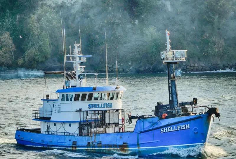 SHELLFISH General Cargo IMO 7308774 photo 10