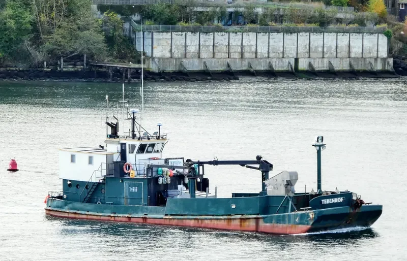 TEBENKOF General Cargo IMO 7309273 photo 9