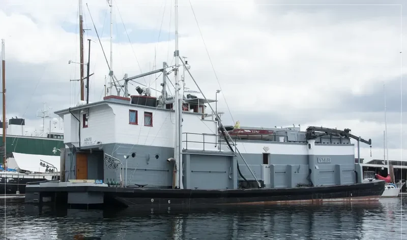 ANGIE General Cargo IMO 7309297