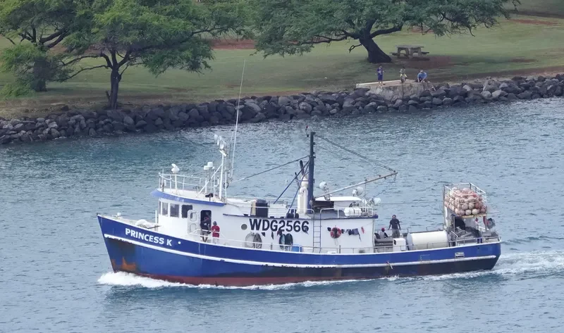 PRINCESS K General Cargo IMO 7309431