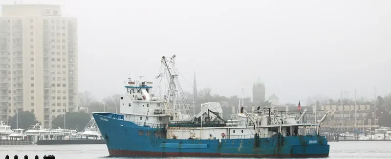 TIDELANDS General Cargo IMO 7309443