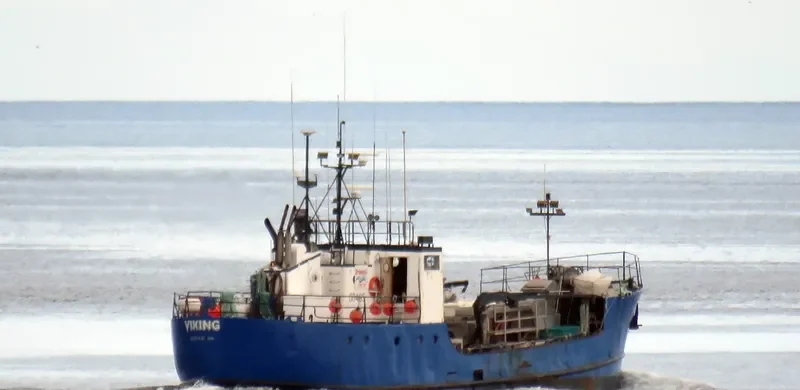 VIKING General Cargo IMO 7309780