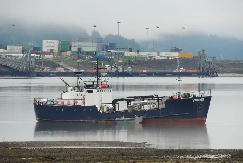 VIKING General Cargo IMO 7309780 photo 3