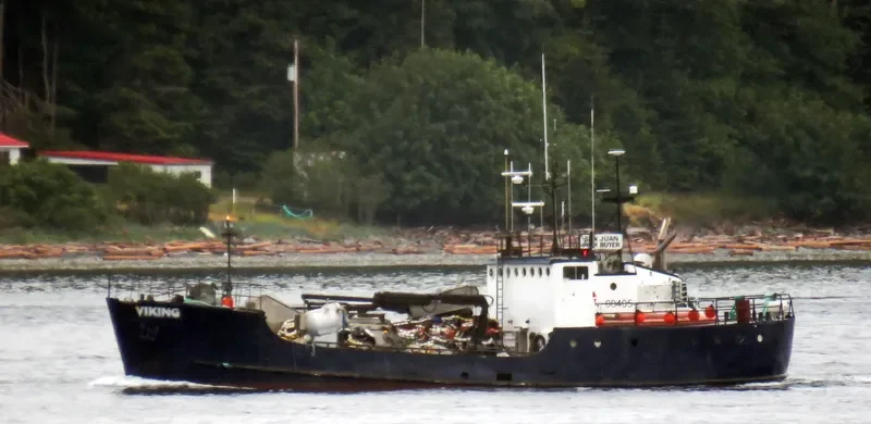 VIKING General Cargo IMO 7309780 photo 4