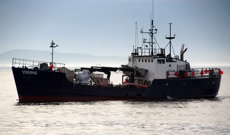 VIKING General Cargo IMO 7309780 photo 5