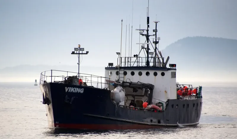 VIKING General Cargo IMO 7309780 photo 6