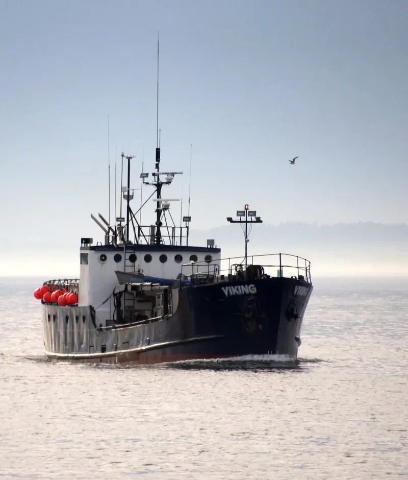 VIKING General Cargo IMO 7309780 photo 7