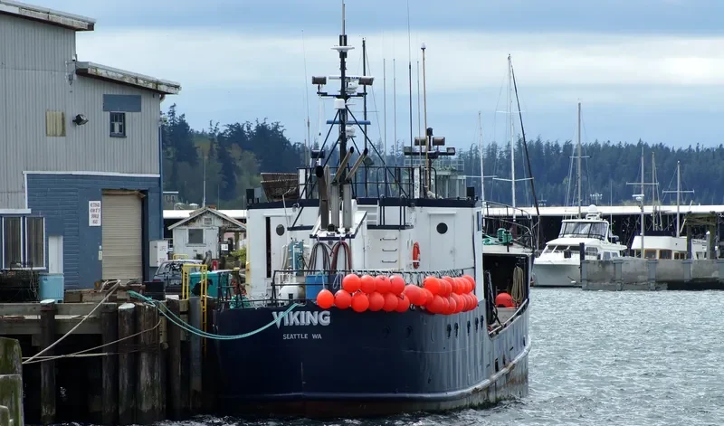 VIKING General Cargo IMO 7309780 photo 8