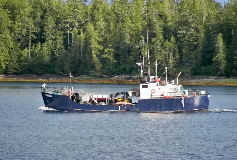 VIKING General Cargo IMO 7309780 photo 9