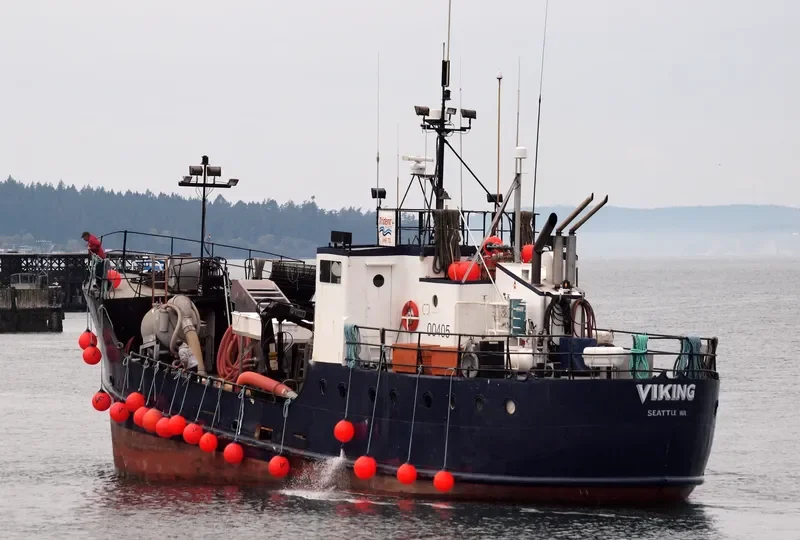 VIKING General Cargo IMO 7309780 photo 10