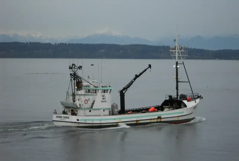 VIKING QUEEN Fishing Vessel IMO 7309792 photo 8