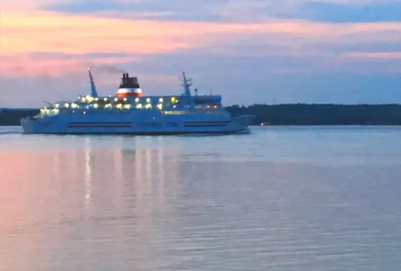 CTMA VACANCIER Ro-Ro IMO 7310260 photo 8