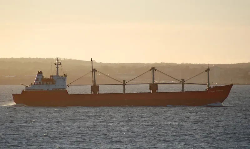 VLADIMIR TIMOFEYEV General Cargo IMO 7310636